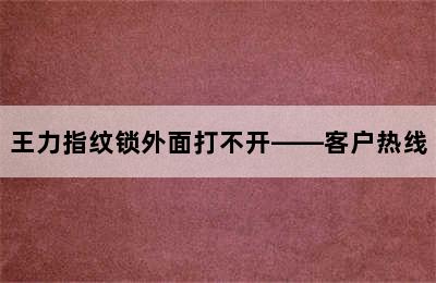 王力指纹锁外面打不开——客户热线