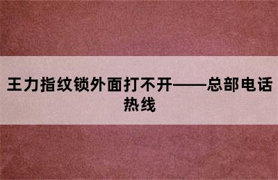 王力指纹锁外面打不开——总部电话热线