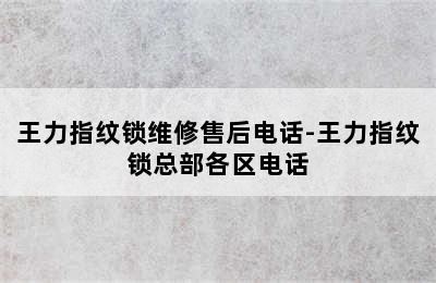 王力指纹锁维修售后电话-王力指纹锁总部各区电话