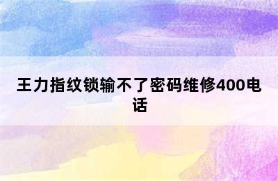 王力指纹锁输不了密码维修400电话