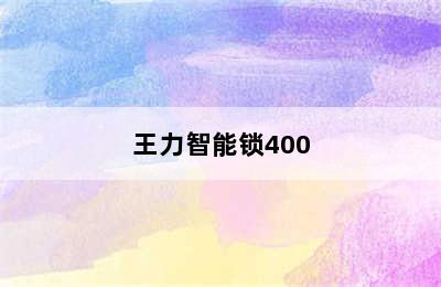 王力智能锁400