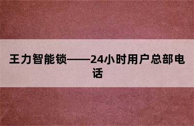 王力智能锁——24小时用户总部电话