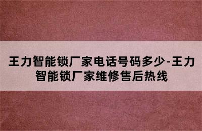 王力智能锁厂家电话号码多少-王力智能锁厂家维修售后热线