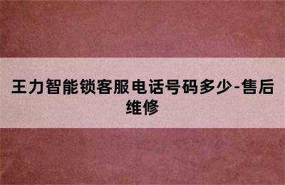 王力智能锁客服电话号码多少-售后维修