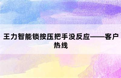 王力智能锁按压把手没反应——客户热线