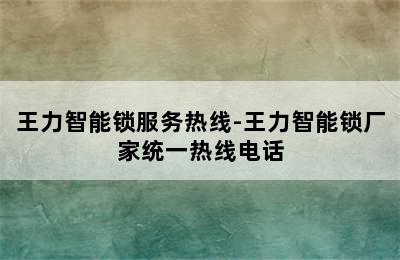 王力智能锁服务热线-王力智能锁厂家统一热线电话