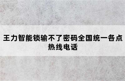 王力智能锁输不了密码全国统一各点热线电话