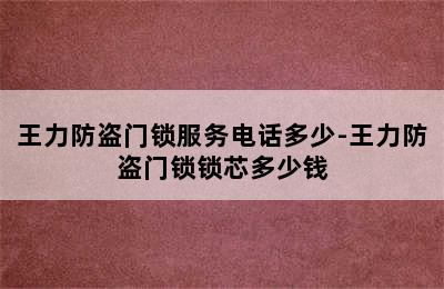 王力防盗门锁服务电话多少-王力防盗门锁锁芯多少钱