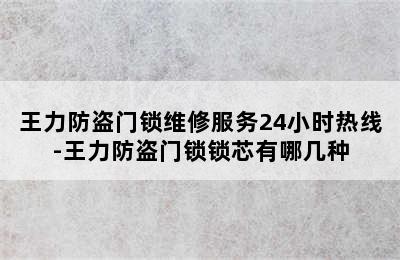 王力防盗门锁维修服务24小时热线-王力防盗门锁锁芯有哪几种