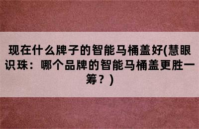 现在什么牌子的智能马桶盖好(慧眼识珠：哪个品牌的智能马桶盖更胜一筹？)