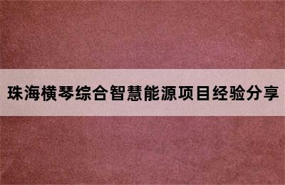 珠海横琴综合智慧能源项目经验分享