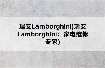 瑞安Lamborghini(瑞安Lamborghini：家电维修专家)