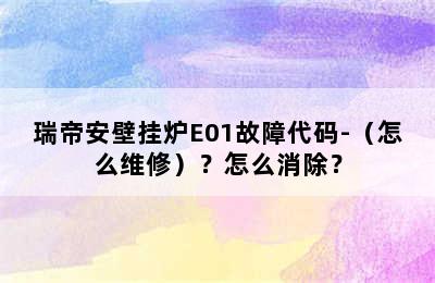 瑞帝安壁挂炉E01故障代码-（怎么维修）？怎么消除？