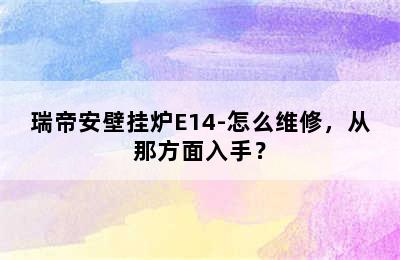 瑞帝安壁挂炉E14-怎么维修，从那方面入手？