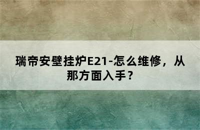 瑞帝安壁挂炉E21-怎么维修，从那方面入手？