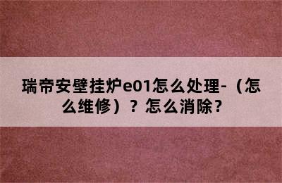 瑞帝安壁挂炉e01怎么处理-（怎么维修）？怎么消除？