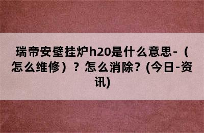 瑞帝安壁挂炉h20是什么意思-（怎么维修）？怎么消除？(今日-资讯)