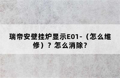 瑞帝安壁挂炉显示E01-（怎么维修）？怎么消除？