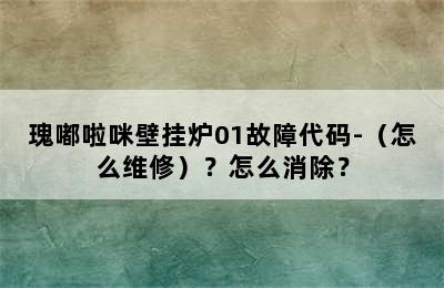 瑰嘟啦咪壁挂炉01故障代码-（怎么维修）？怎么消除？