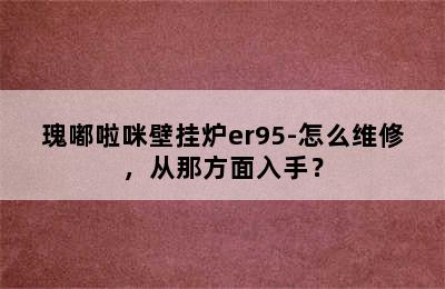 瑰嘟啦咪壁挂炉er95-怎么维修，从那方面入手？