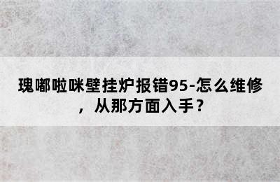 瑰嘟啦咪壁挂炉报错95-怎么维修，从那方面入手？