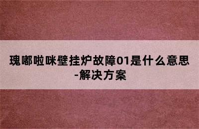 瑰嘟啦咪壁挂炉故障01是什么意思-解决方案