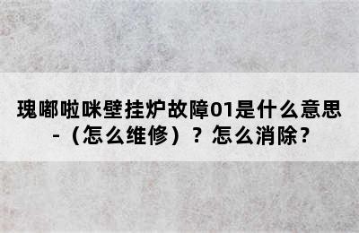 瑰嘟啦咪壁挂炉故障01是什么意思-（怎么维修）？怎么消除？