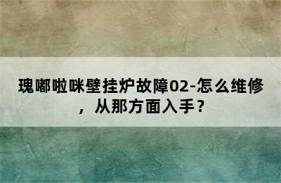 瑰嘟啦咪壁挂炉故障02-怎么维修，从那方面入手？