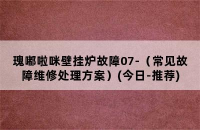 瑰嘟啦咪壁挂炉故障07-（常见故障维修处理方案）(今日-推荐)