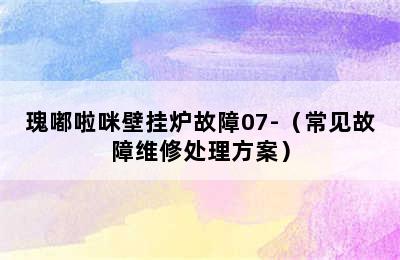 瑰嘟啦咪壁挂炉故障07-（常见故障维修处理方案）