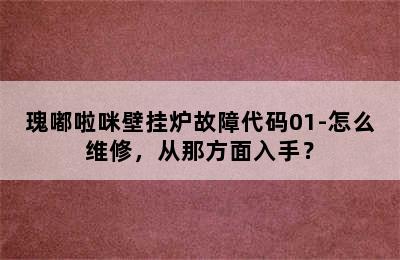 瑰嘟啦咪壁挂炉故障代码01-怎么维修，从那方面入手？