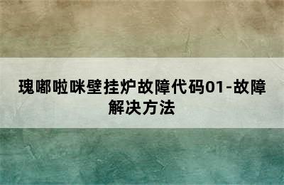 瑰嘟啦咪壁挂炉故障代码01-故障解决方法