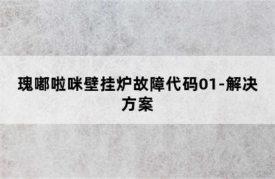 瑰嘟啦咪壁挂炉故障代码01-解决方案