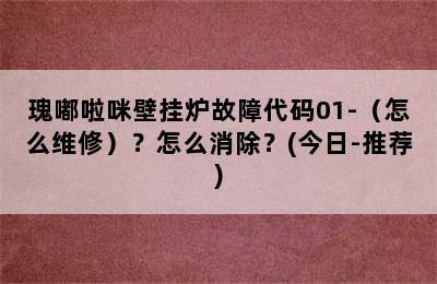 瑰嘟啦咪壁挂炉故障代码01-（怎么维修）？怎么消除？(今日-推荐)