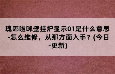 瑰嘟啦咪壁挂炉显示01是什么意思-怎么维修，从那方面入手？(今日-更新)