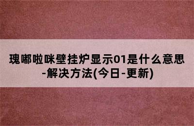 瑰嘟啦咪壁挂炉显示01是什么意思-解决方法(今日-更新)