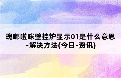 瑰嘟啦咪壁挂炉显示01是什么意思-解决方法(今日-资讯)