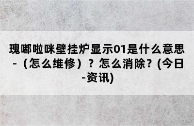 瑰嘟啦咪壁挂炉显示01是什么意思-（怎么维修）？怎么消除？(今日-资讯)