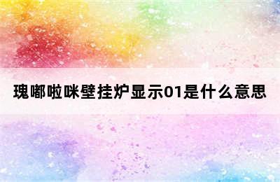 瑰嘟啦咪壁挂炉显示01是什么意思