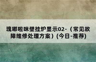 瑰嘟啦咪壁挂炉显示02-（常见故障维修处理方案）(今日-推荐)