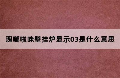 瑰嘟啦咪壁挂炉显示03是什么意思