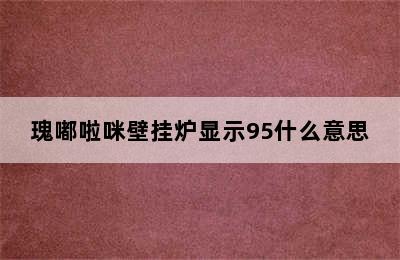 瑰嘟啦咪壁挂炉显示95什么意思