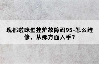 瑰都啦咪壁挂炉故障码95-怎么维修，从那方面入手？