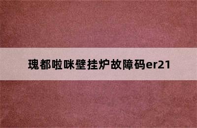 瑰都啦咪壁挂炉故障码er21