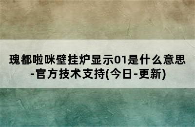 瑰都啦咪壁挂炉显示01是什么意思-官方技术支持(今日-更新)