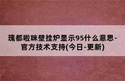 瑰都啦咪壁挂炉显示95什么意思-官方技术支持(今日-更新)