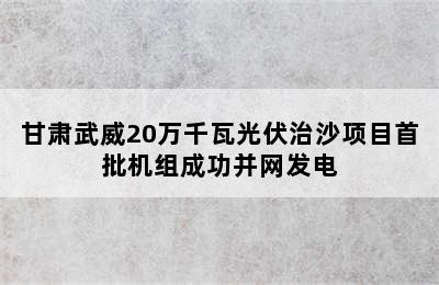 甘肃武威20万千瓦光伏治沙项目首批机组成功并网发电