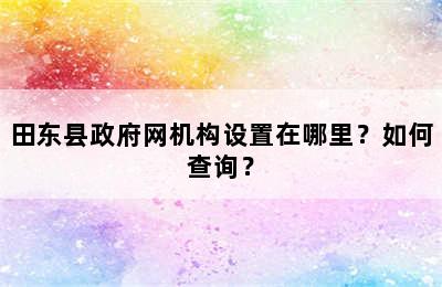 田东县政府网机构设置在哪里？如何查询？