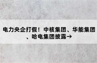 电力央企打假！中核集团、华能集团、哈电集团披露→