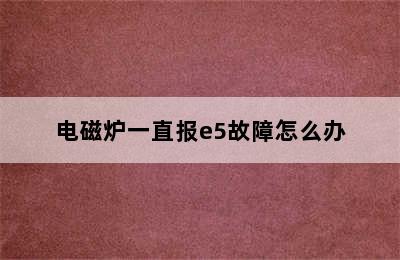 电磁炉一直报e5故障怎么办